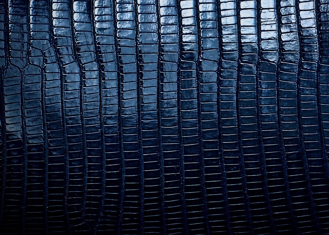 Navy lizard leather on a Tecovas boot, The Man's Shop, Arlington