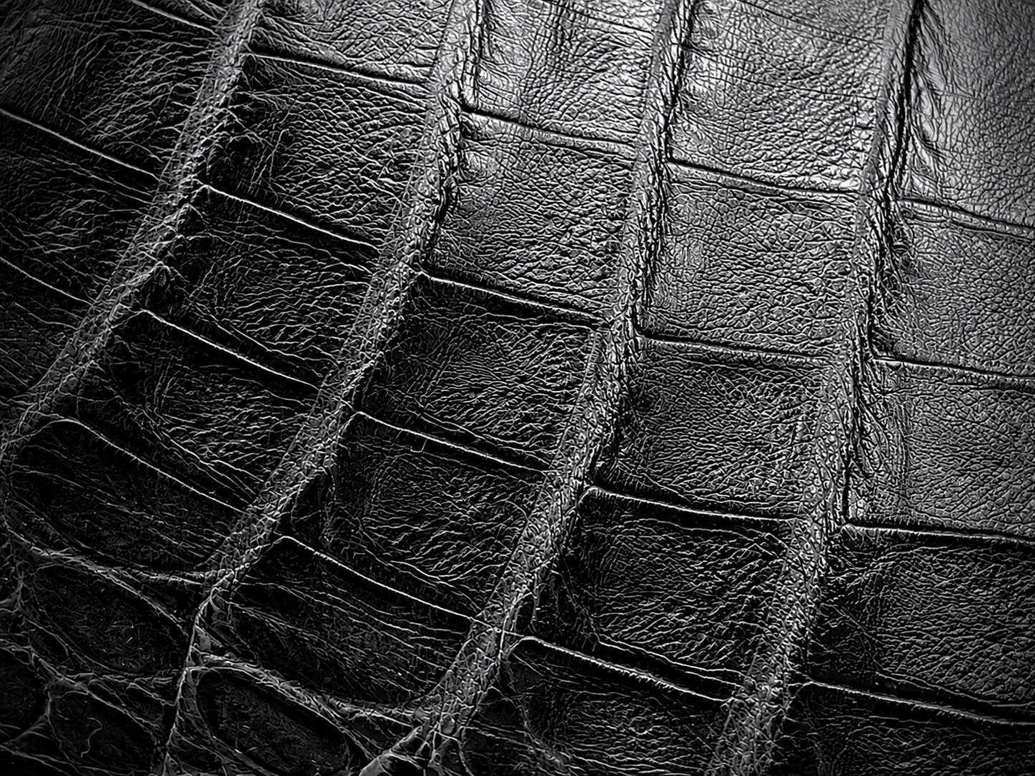 Black caiman leather on a Tecovas boot, The Man's Shop, Arlington, Texas