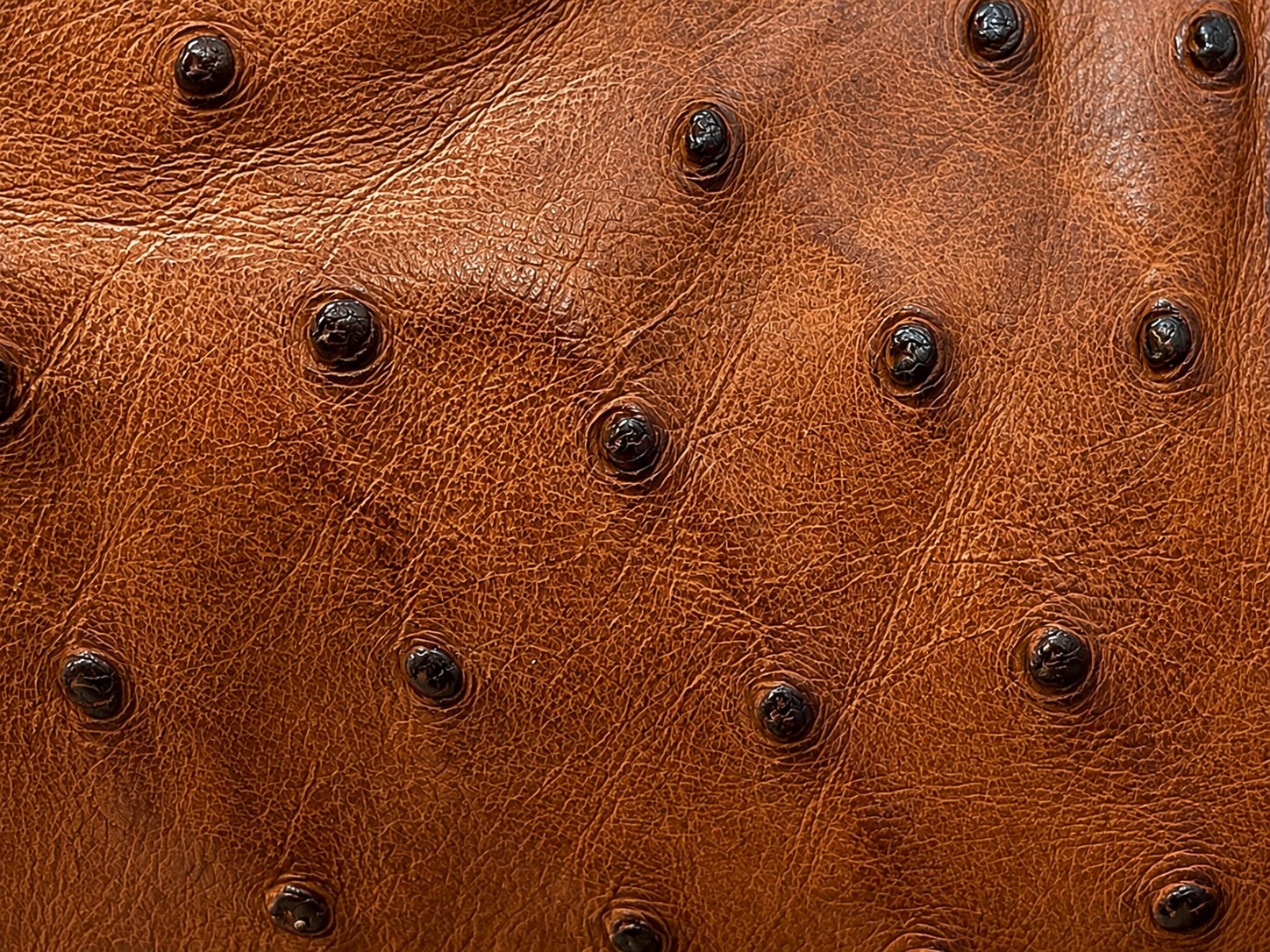 Cognac ostrich quill leather on a Tecovas boot, The Man's Shop, Arlington