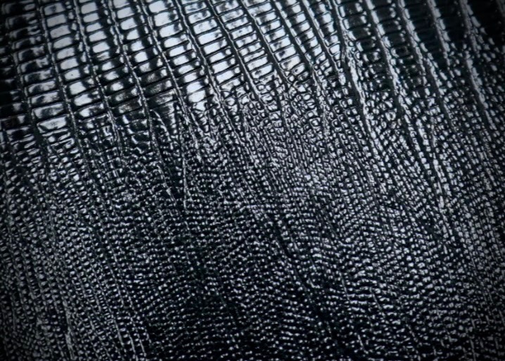 Dark lizard leather detail on a Tecovas boot, The Man's Shop, Arlington