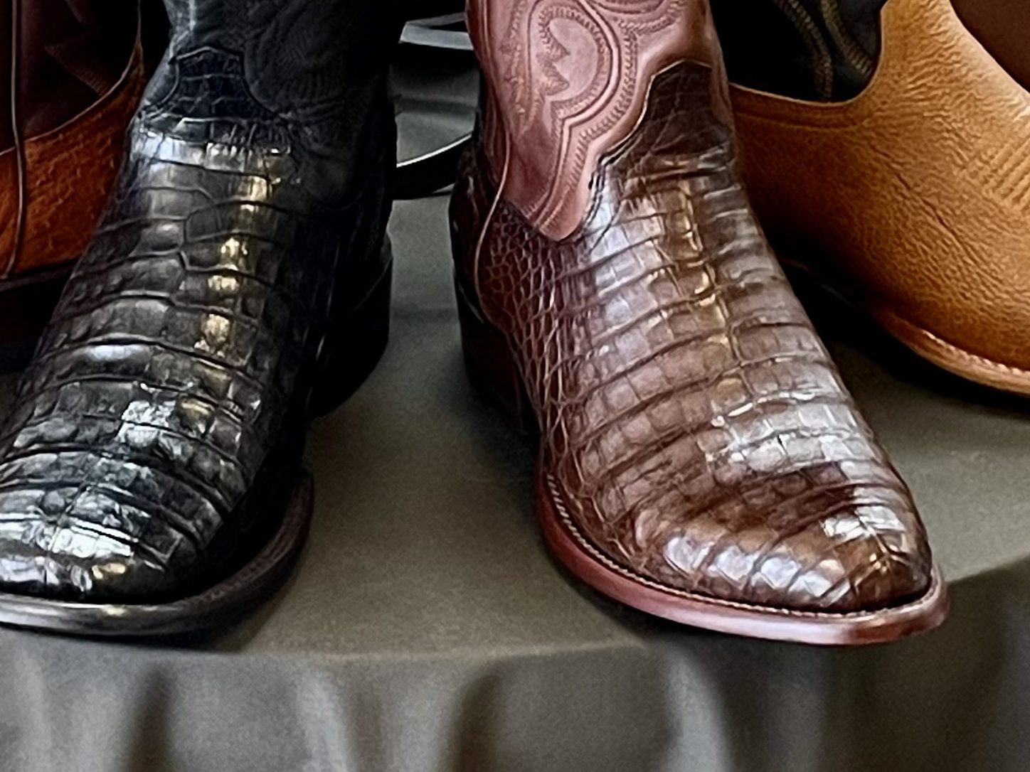 Chocolate caiman Tecovas boot with burgundy shaft, The Man's Shop, Arlington