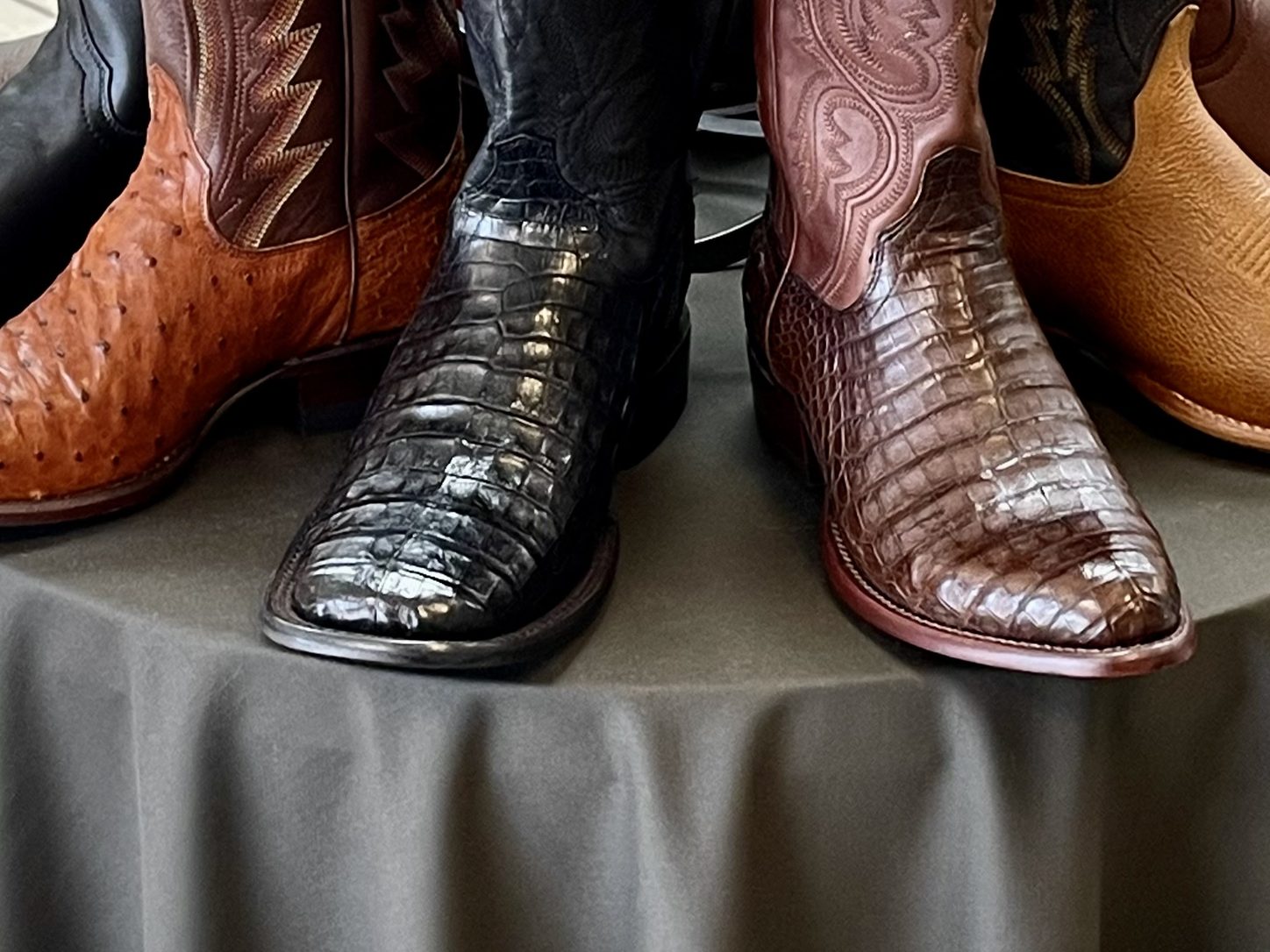 Black and chocolate caiman Tecovas boots at The Man's Shop, Arlington, Texas